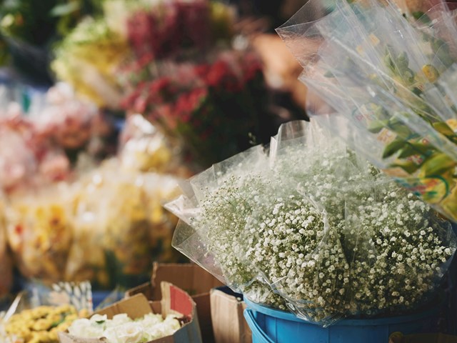 Cvetlična tržnica na pokopališču Pobrežje 